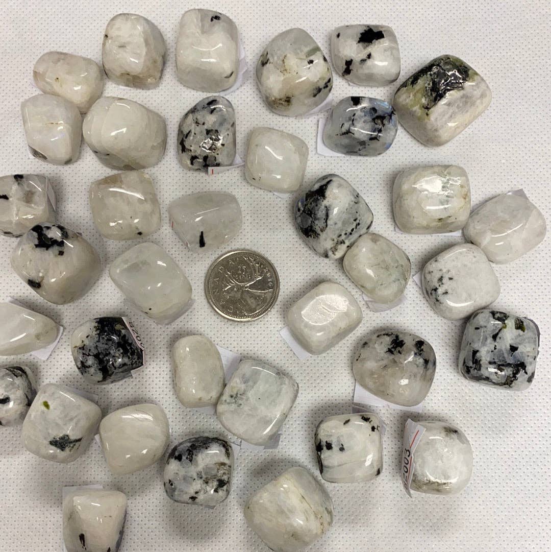 Moonstone Tumbled Stone (S)
