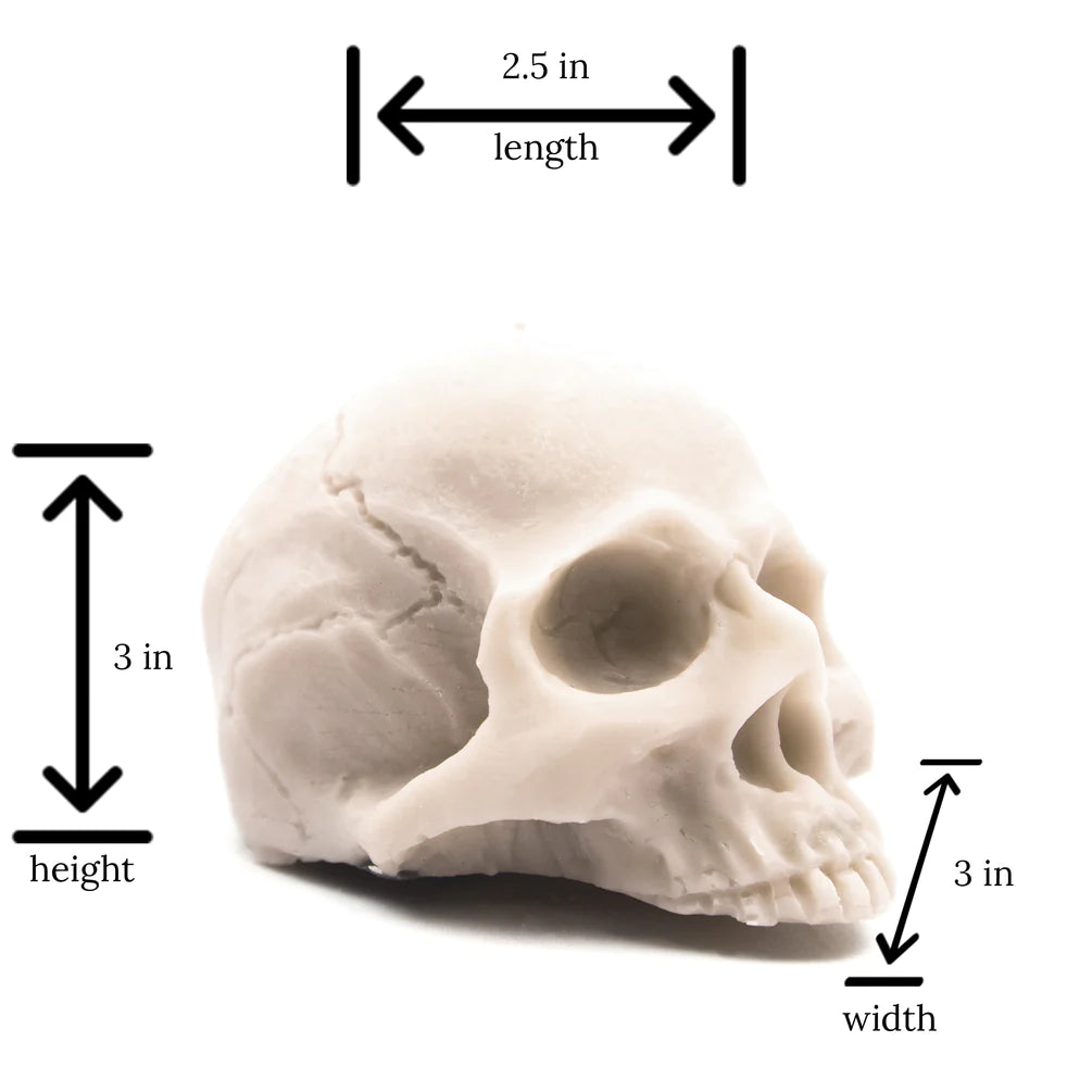 IVORY HALF SKULL | PILLAR CANDLE