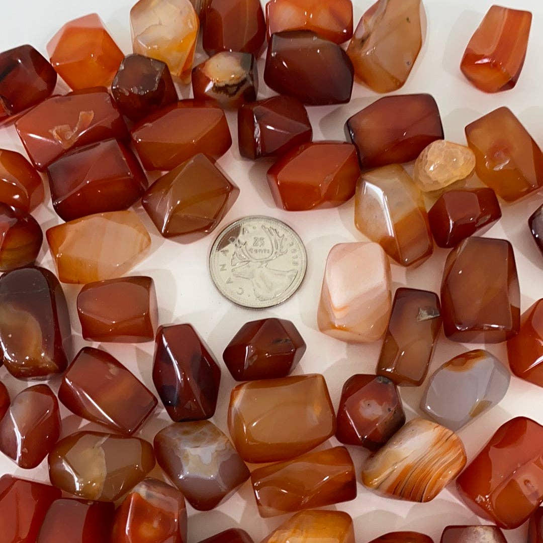 High Quality Carnelian A Tumbled (M)